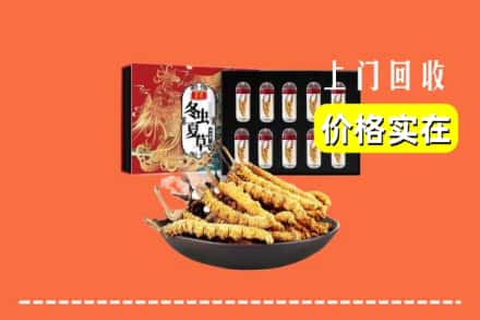 长春德惠市回收冬虫夏草